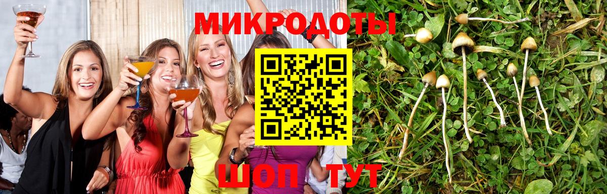 Псилоцибиновые грибы GOLDEN TEACHER  Псилоцибиновые грибы прущие грибы  где продают   Волгодонск  Вход с VPN 